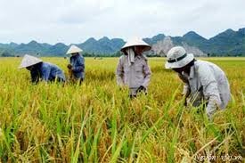 Conférence consultative des organismes civils d’Asie-Pacifique - ảnh 1